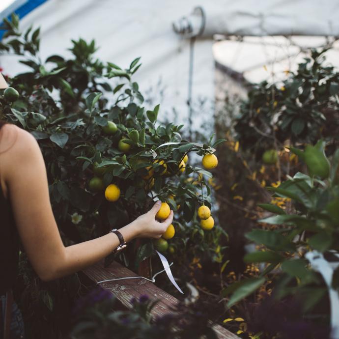 The 5 top specialties of Menton